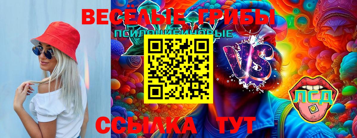 Галлюциногенные грибы Magic Shrooms Орехово-Зуево