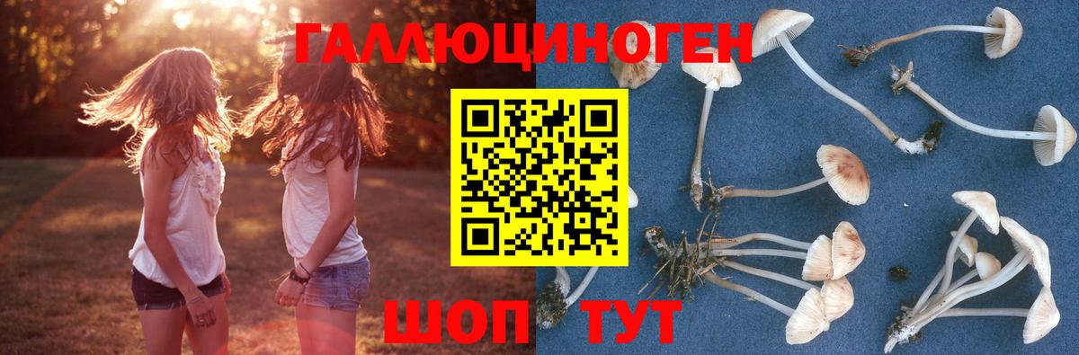 Галлюциногенные грибы Psilocybe  Вход с VPN  Орехово-Зуево 